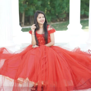 Red Net Party Gown